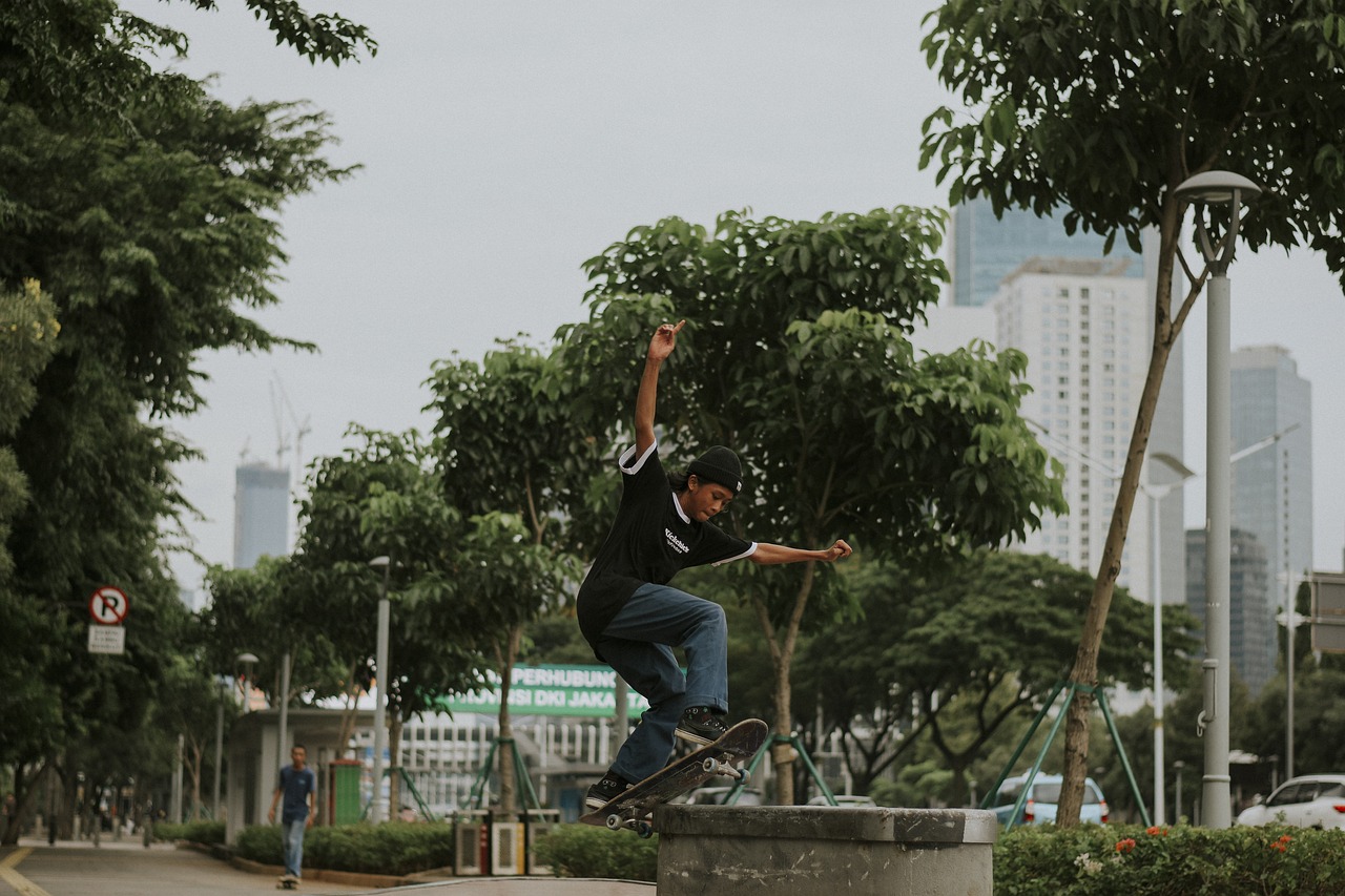 tebet skateboard, man, park